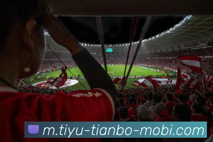 多媒体互动体验